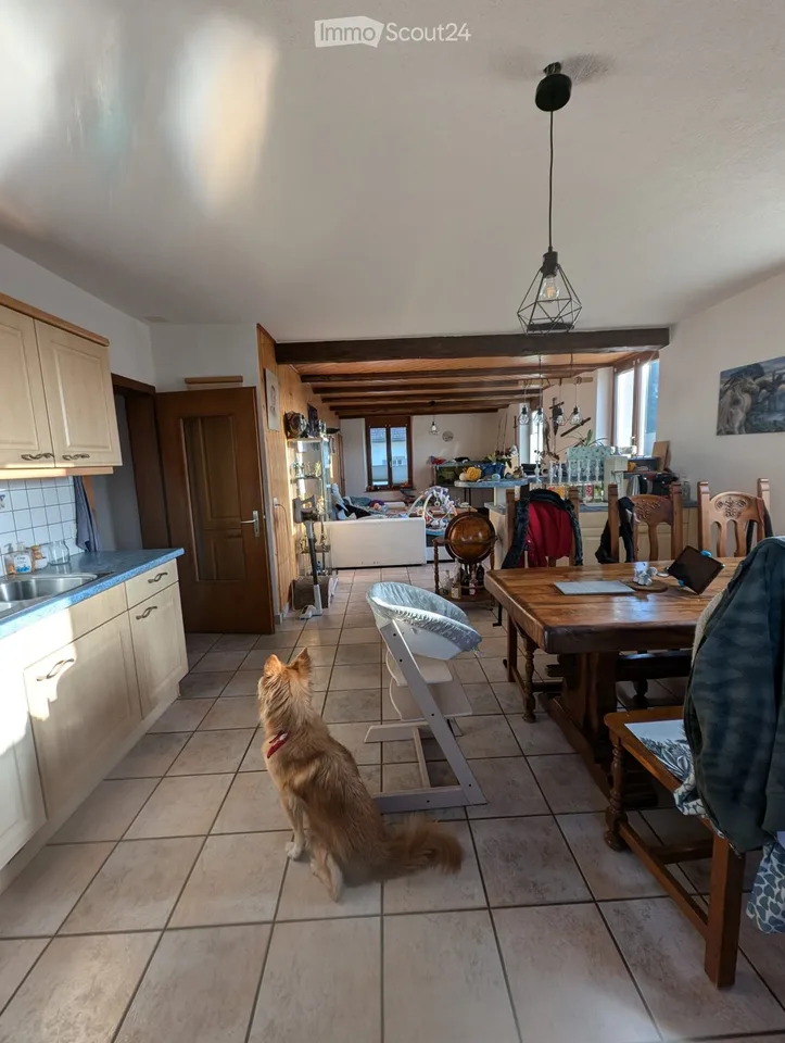 Appartement 4.5 pièces