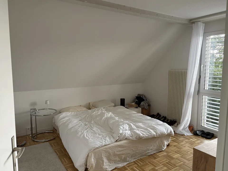beautiful 3.5 room attic apartment