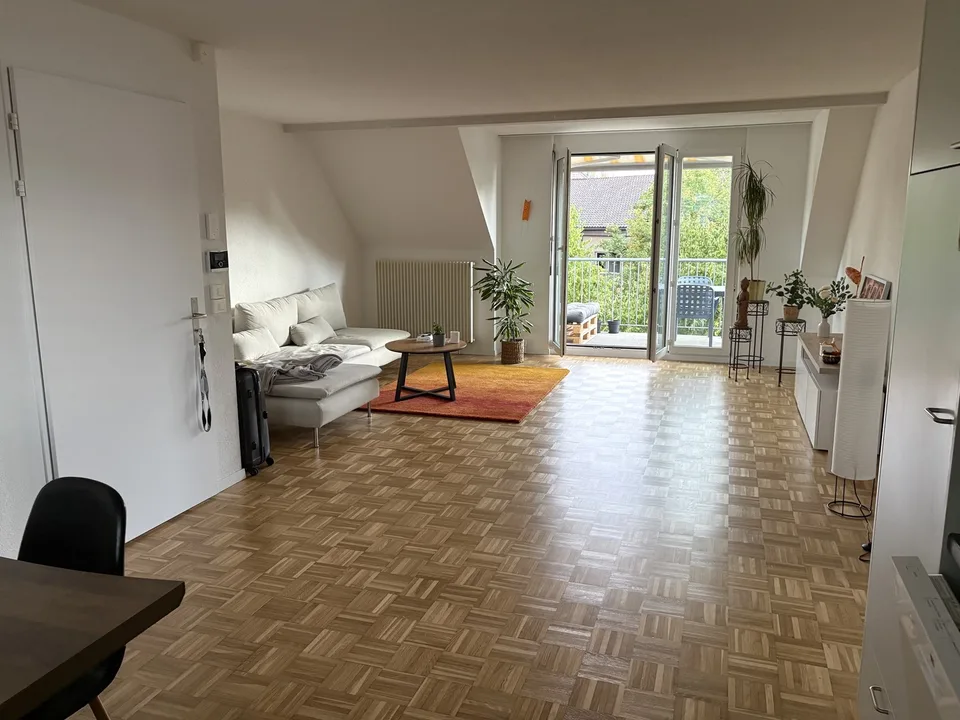 beautiful 3.5 room attic apartment