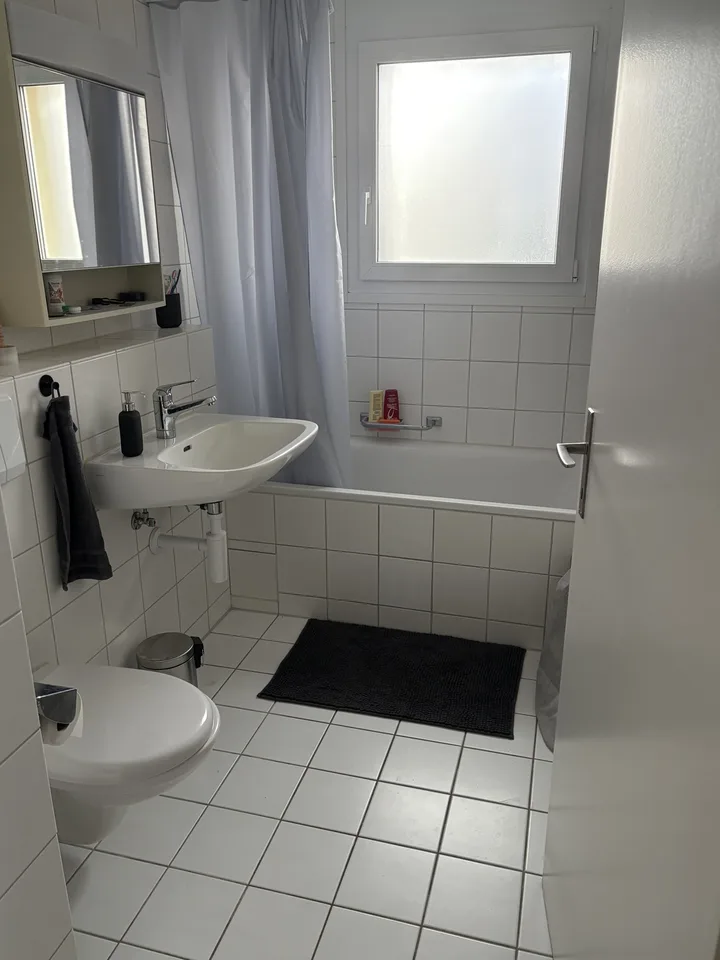 beautiful 3.5 room attic apartment