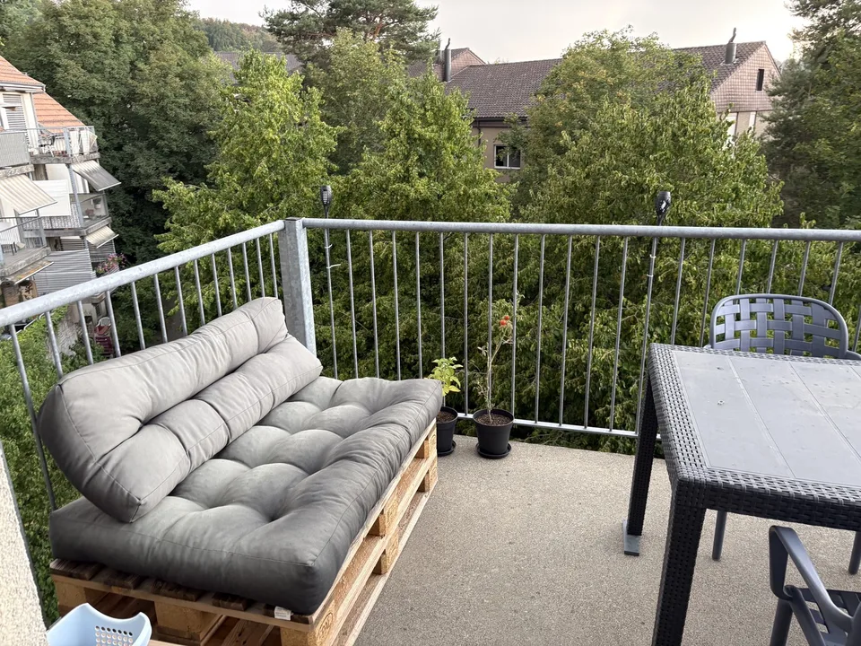 beautiful 3.5 room attic apartment