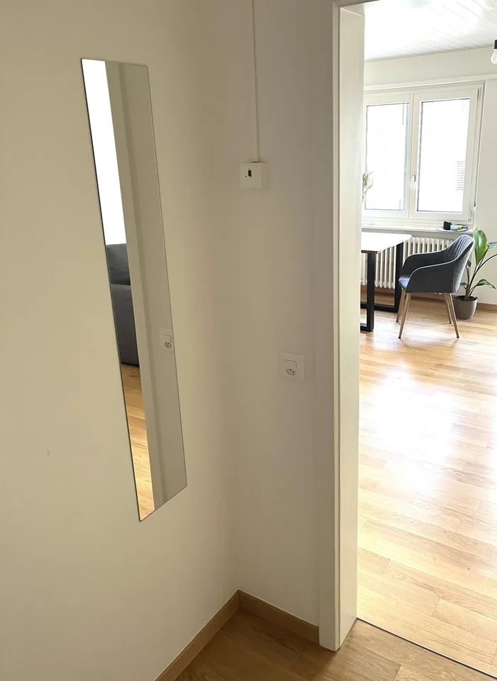 Bright Studio in Zug for short term!