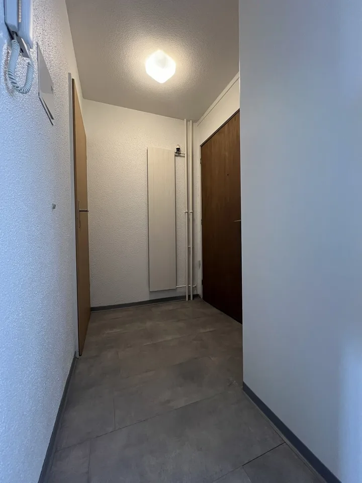 Bright 1-room apartment with balcony