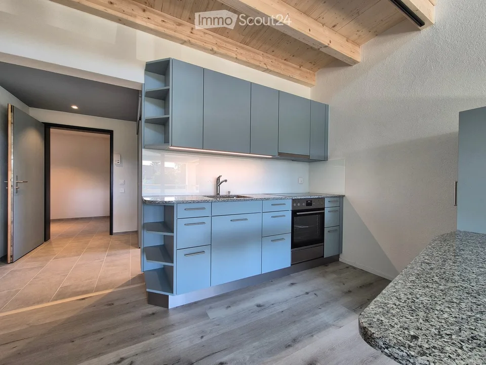 Möblierte 2.5-Zimmer-Wohnung im Neubau in Birr