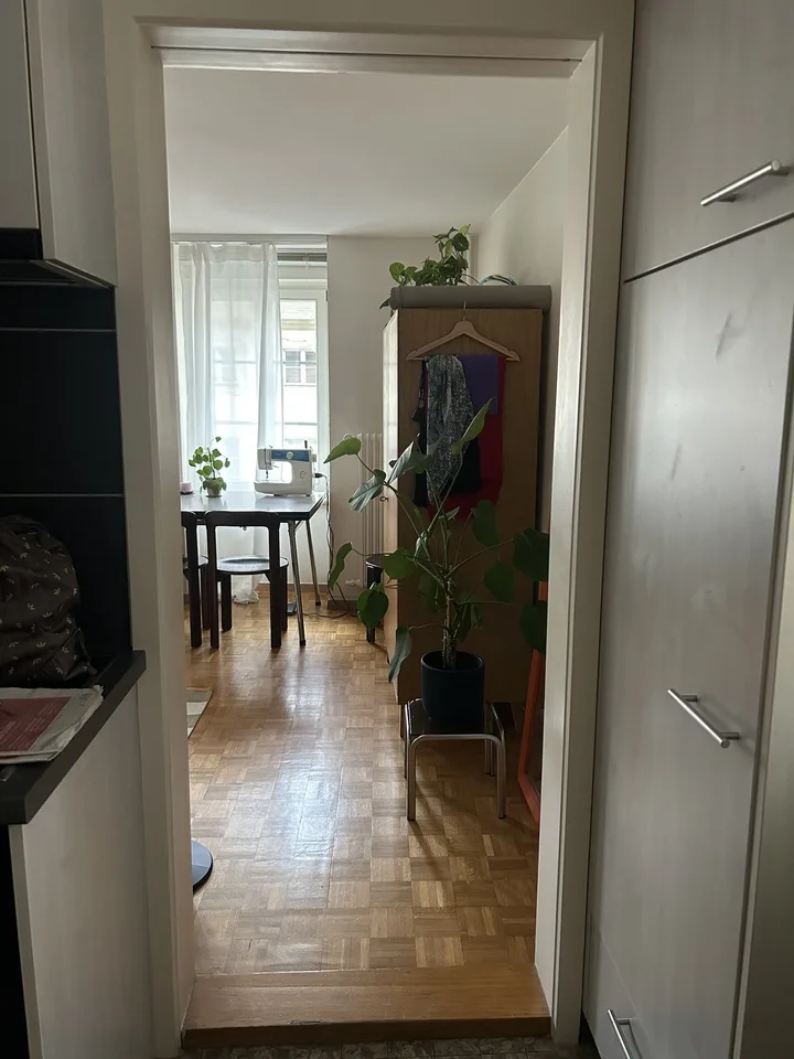 1.5 Room Apartment in Bourg District
