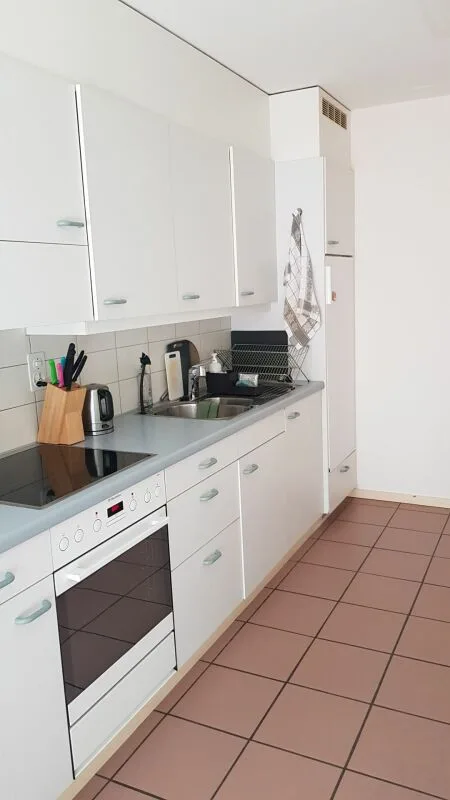 2.5-Room Apartment for Rent in Haus zur Drachenmühle