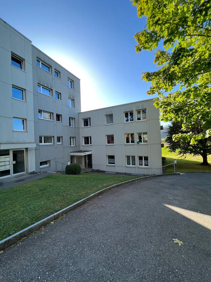 Deux maisons multifamiliales entièrement louées à Wettswil am Albis