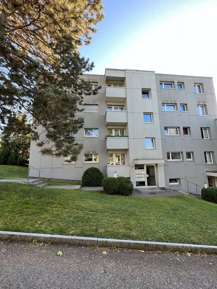 Deux maisons multifamiliales entièrement louées à Wettswil am Albis