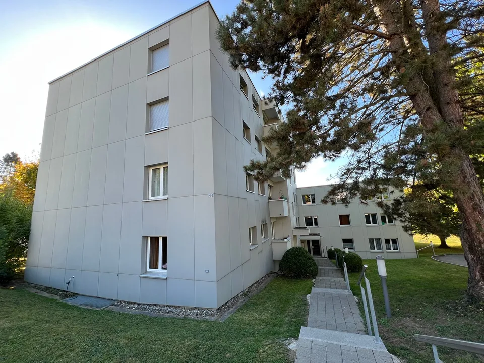 Deux maisons multifamiliales entièrement louées à Wettswil am Albis
