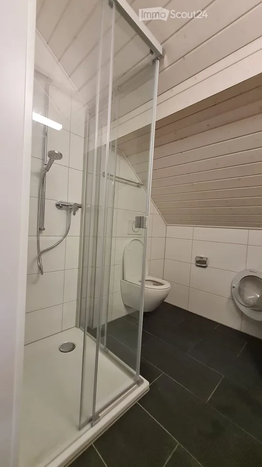 1.5-Zimmer-Dachwohnung in Rüegsauschachen