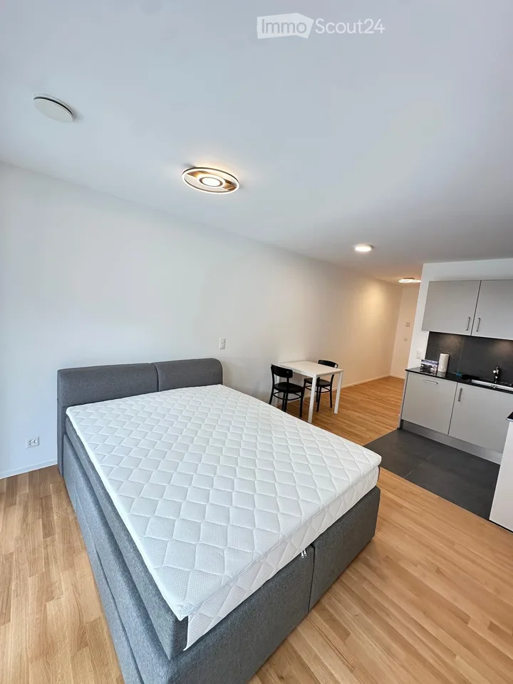 Appartement Neuf Meublé au coeur de Sion