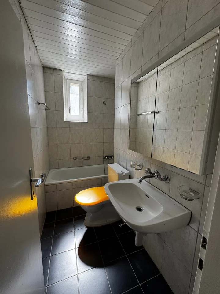 Charmante 4-Zimmer-Wohnung im Altbau an der Bireggstrasse, Luzern