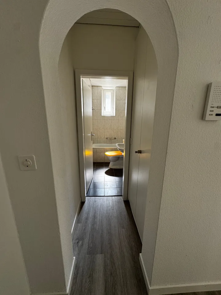 Charmante 4-Zimmer-Wohnung im Altbau an der Bireggstrasse, Luzern