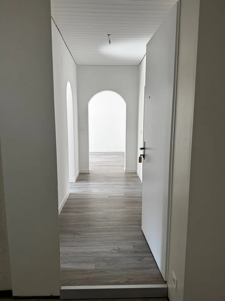 Charmante 4-Zimmer-Wohnung im Altbau an der Bireggstrasse, Luzern