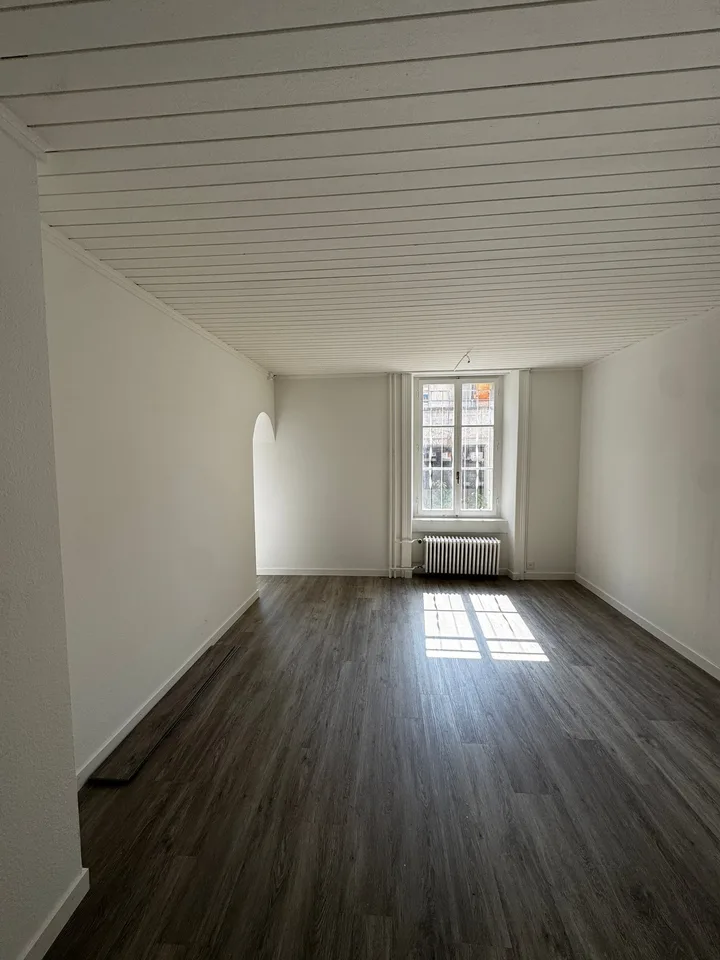 Charmante 4-Zimmer-Wohnung im Altbau an der Bireggstrasse, Luzern