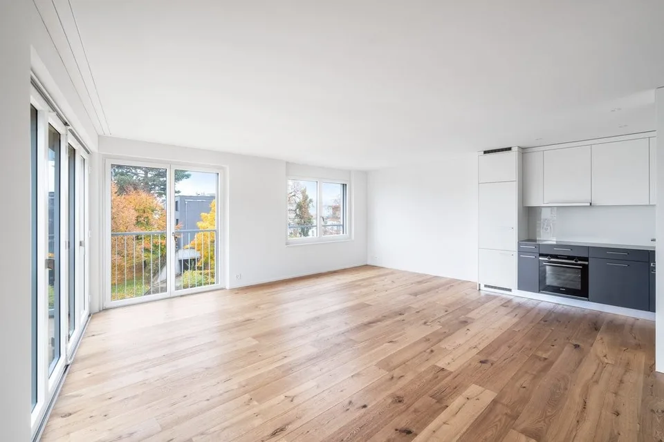 Modern apartment with spacious garden seating area in Männedorf