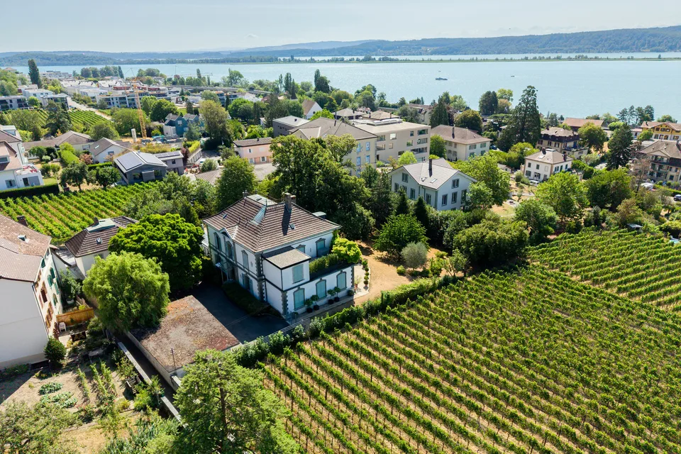 Prossimamente - Villa nel parco vicino al lago
