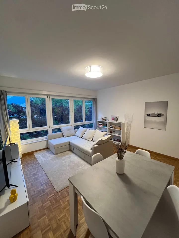 2.5 locali ristrutturati in centro Lugano/zona USI
