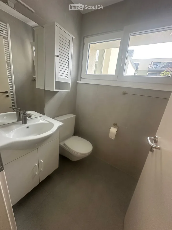 Apartment 5.5 rooms fully renovated for rent