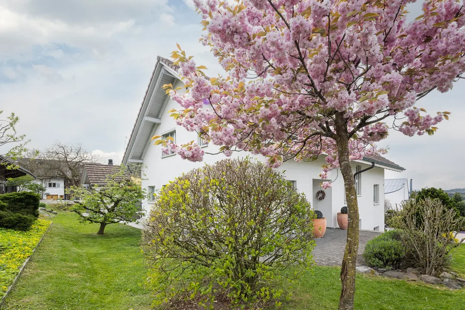 Dream home with stunning views and flexible usage options