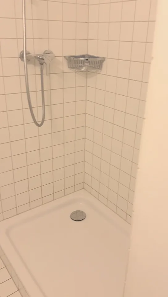 Bright 1-Room Apartment in the Heart of Basel
