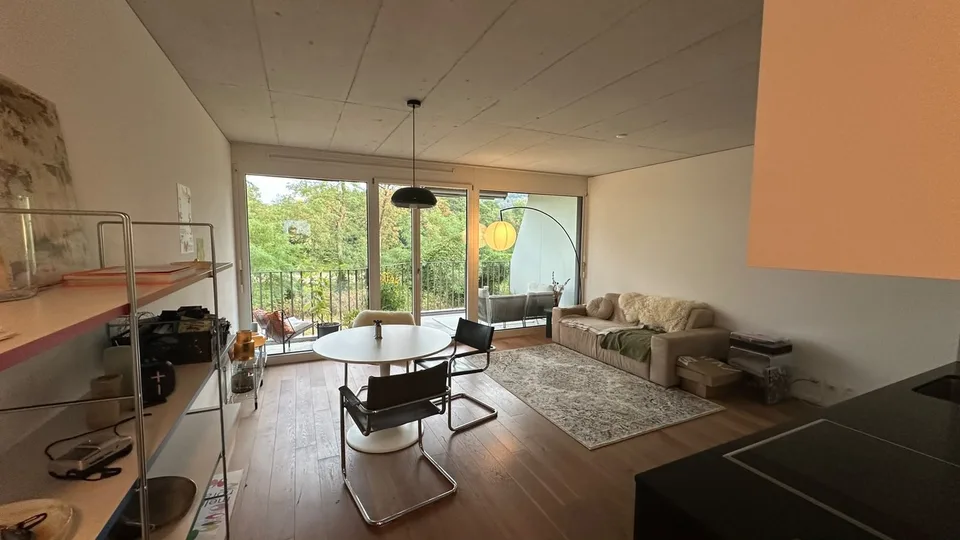 2.5 Zimmerwohnung mit Aareblick