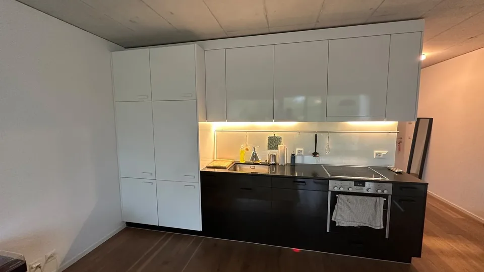 2.5 Zimmerwohnung mit Aareblick