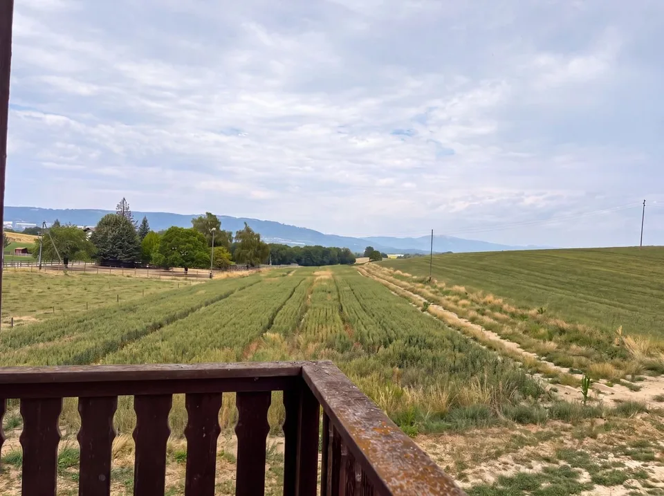Haus zum Verkauf in Grancy - 8,5 Zimmer, 360 m2, am Rande einer landwirtschaftlichen Zone – Foto 9 von 13