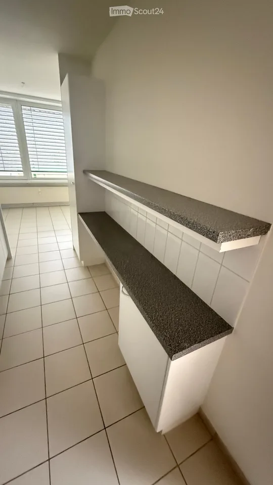 Helle 4.5-Zimmer-Maisonette mit Terrasse, Einstellhallenplatz und Top-Lage beim Zoo Basel