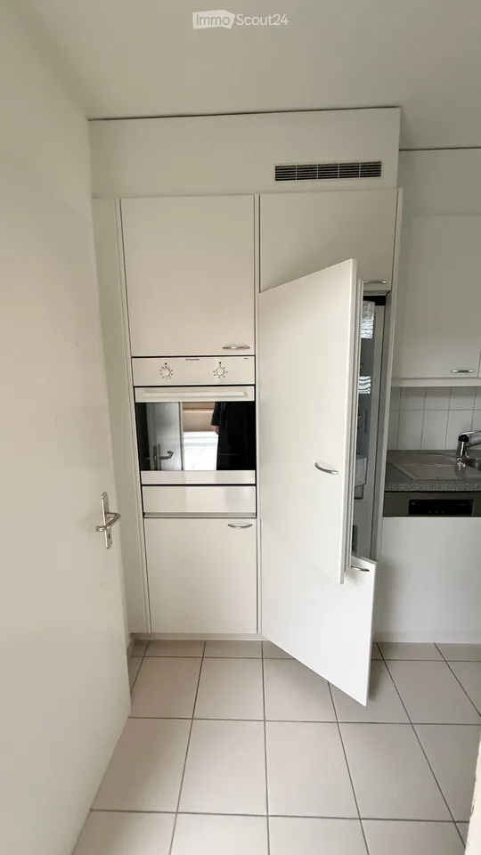Helle 4.5-Zimmer-Maisonette mit Terrasse, Einstellhallenplatz und Top-Lage beim Zoo Basel