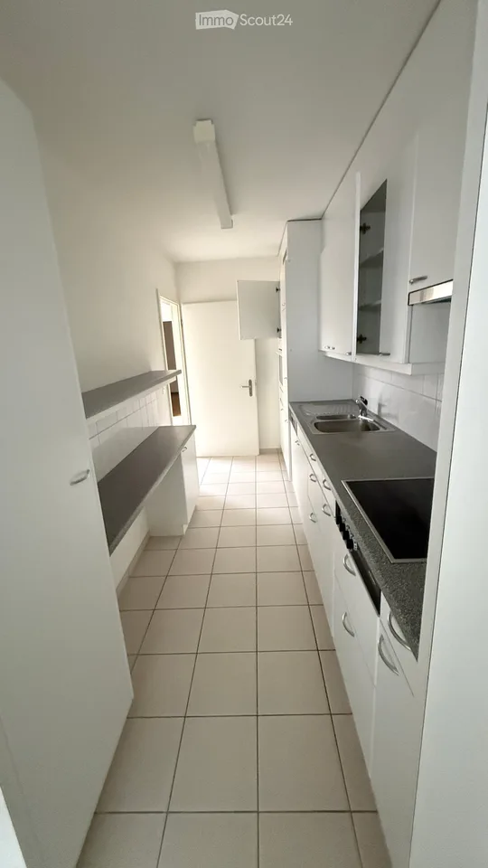 Helle 4.5-Zimmer-Maisonette mit Terrasse, Einstellhallenplatz und Top-Lage beim Zoo Basel