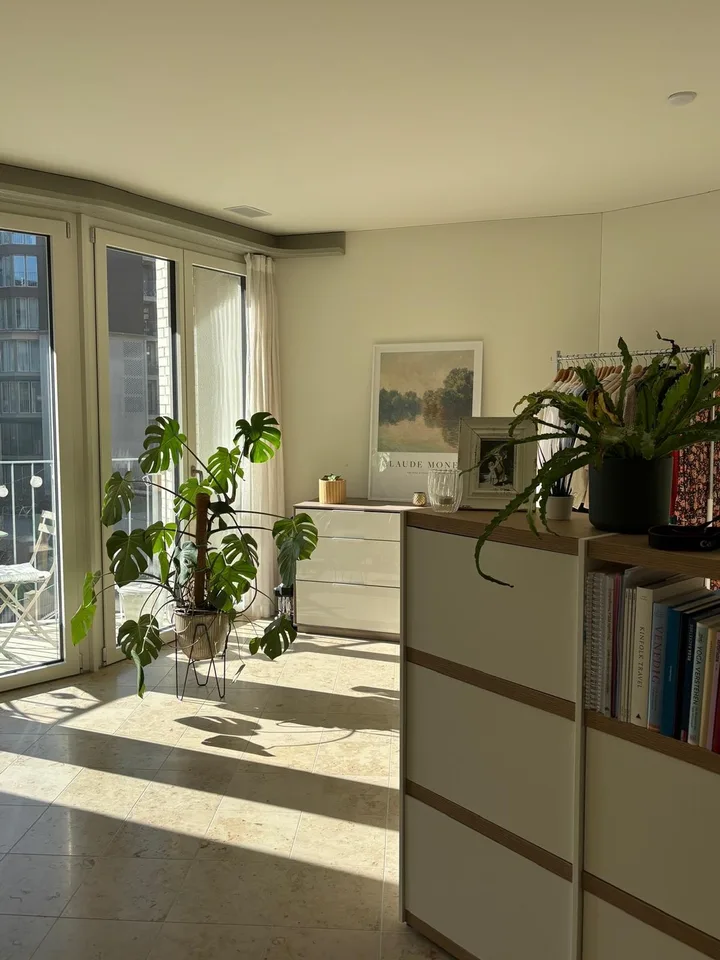 1.5 room apartment for rent near Bucheggplatz from September 2026