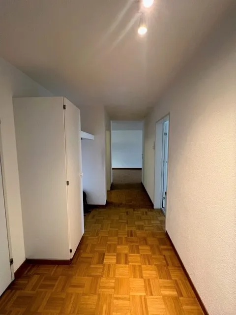 Bright Renovated 3.5-Room Apartment in Central Luzern  Available from 01.10.2026
