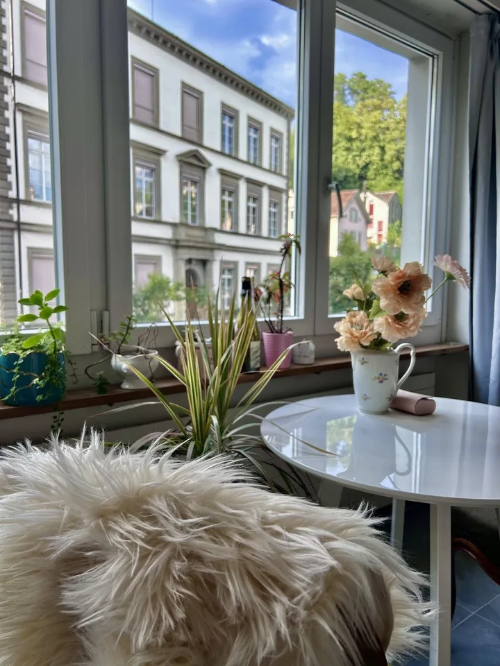 Lichtdurchflutete Single-Wohnung in Schaffhauser Innenstadt