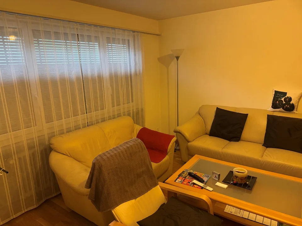 Appartamento 3,5 locali in affitto in un quartiere tranquillo!