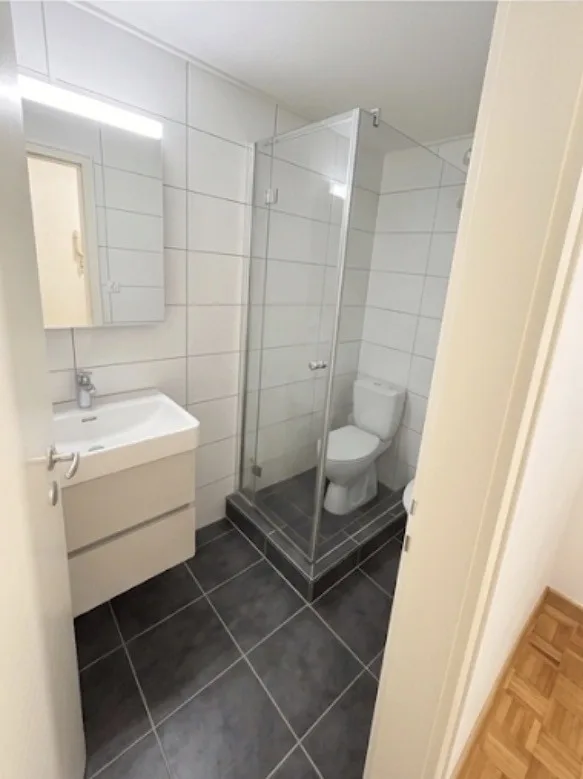 1-Zimmer-Wohnung) "Geräumige und moderne 1-Zimmer-Wohnung mit separater Küche in Basel"