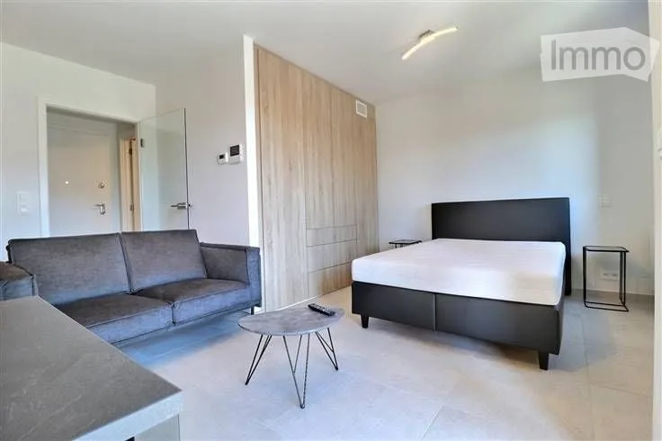Charmantes möblierte Studio-Wohnung von 40 m² in Ecublens VD