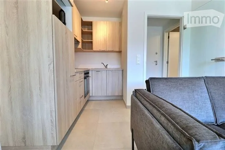 Charmantes möblierte Studio-Wohnung von 40 m² in Ecublens VD