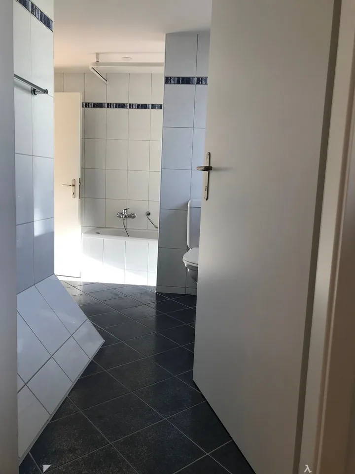 2.5-Zimmer-Dachwohnung mit sonniger Terrasse