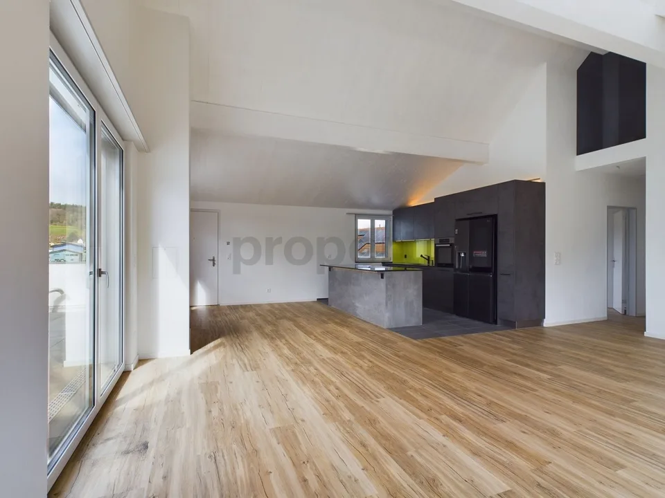 Exklusive 6.5-Zimmer-Dachwohnung mit Dachterrasse in Neftenbach