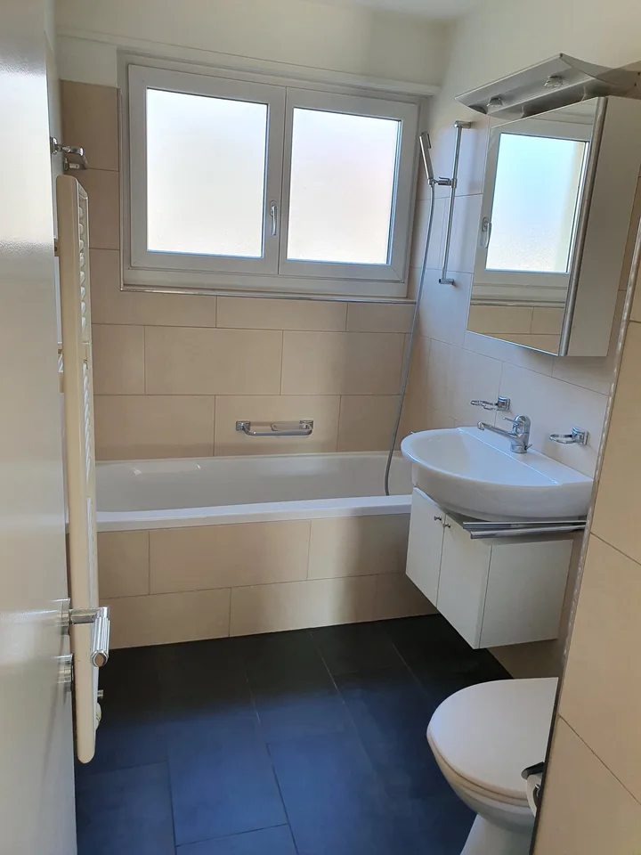 Modern and Mediterranean 3-room apartment in the heart of Birmensdorf ZH