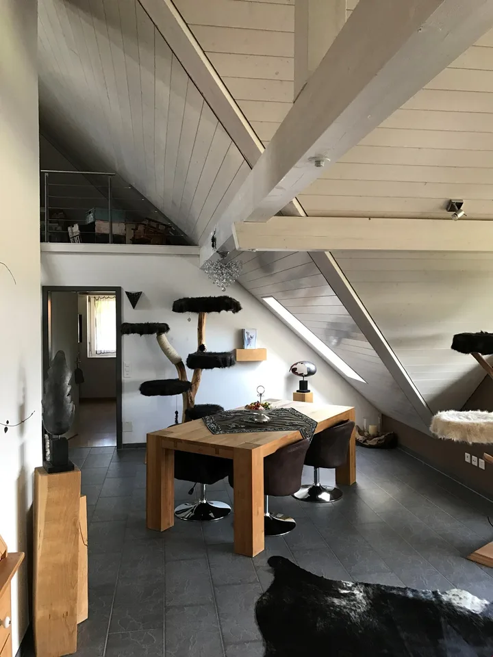 Ampio appartamento 3.5 locali mansardato con vista meravigliosa!