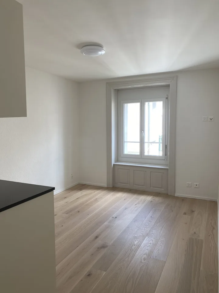 Appartement single charmant au cœur de Zurich Kreis 4, parfait pour les amoureux de la ville !