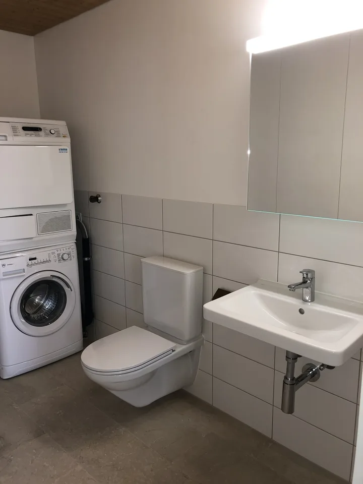 4.5 Room Apartment, 4226 Breitenbach