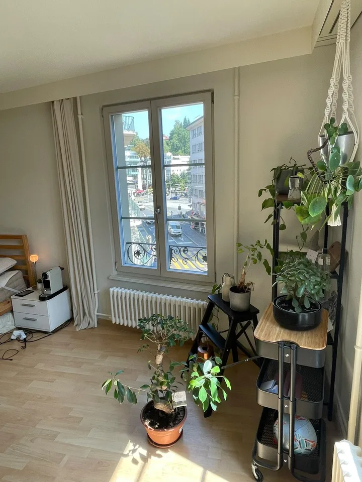 Furnished room for sublet in the old town of Lucerne (September to mid/late December)