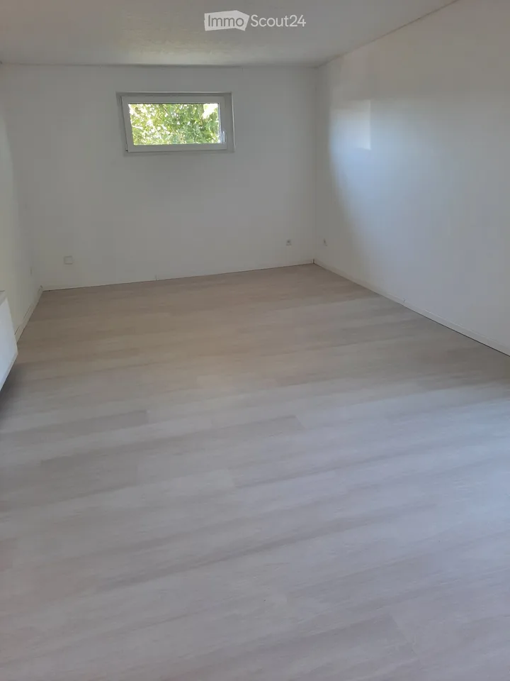 Two-and-a-half-room apartment with terrace