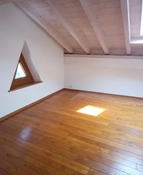 Bello triplex nel comune di Plan-les-Ouates