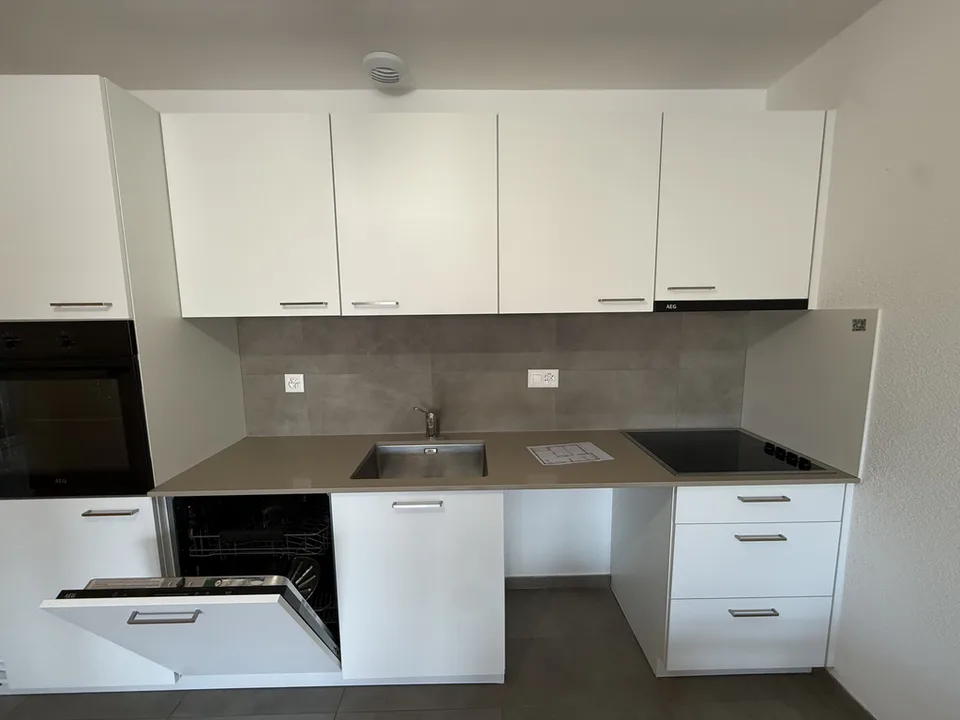 Protected apartment in Aigle