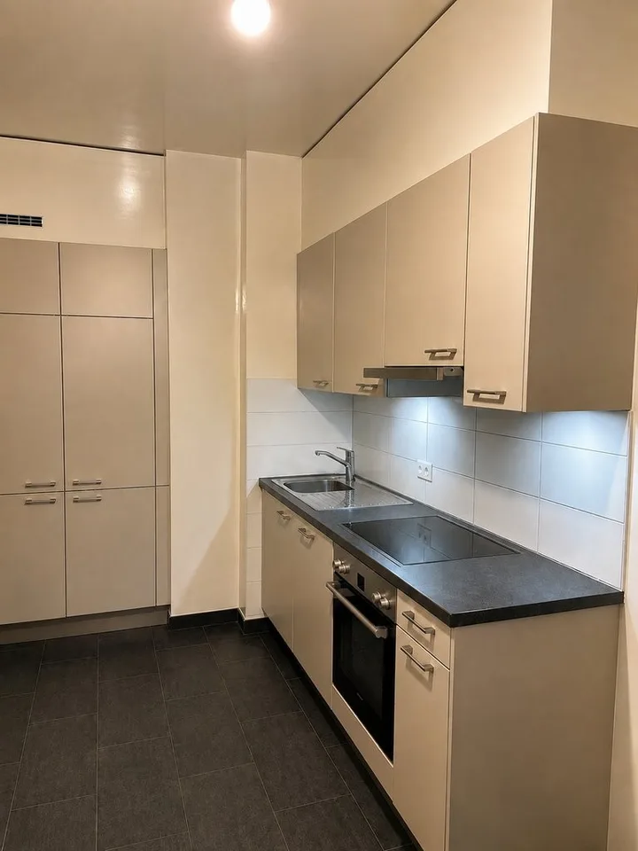 Vicino a Rue de Carouge, quartiere calmo e piacevole da abitare