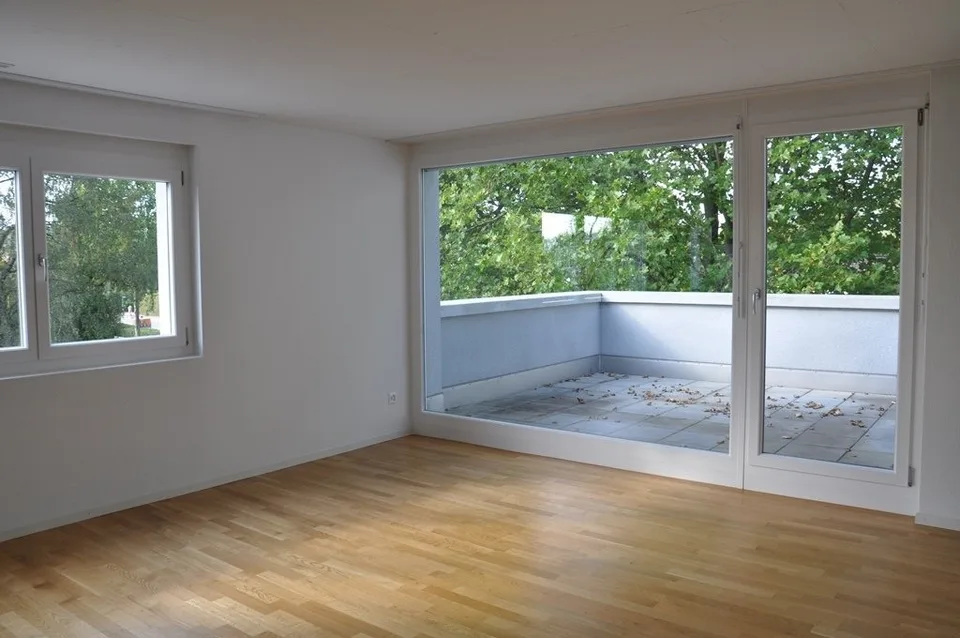 Modern apartment seeking tenants